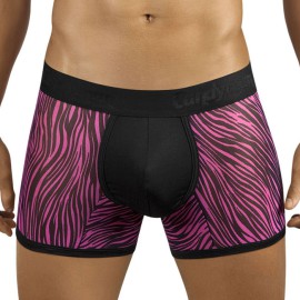 Boxer Fuchsia zebra candyman