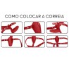 Imagem 3