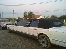 limo2.jpg